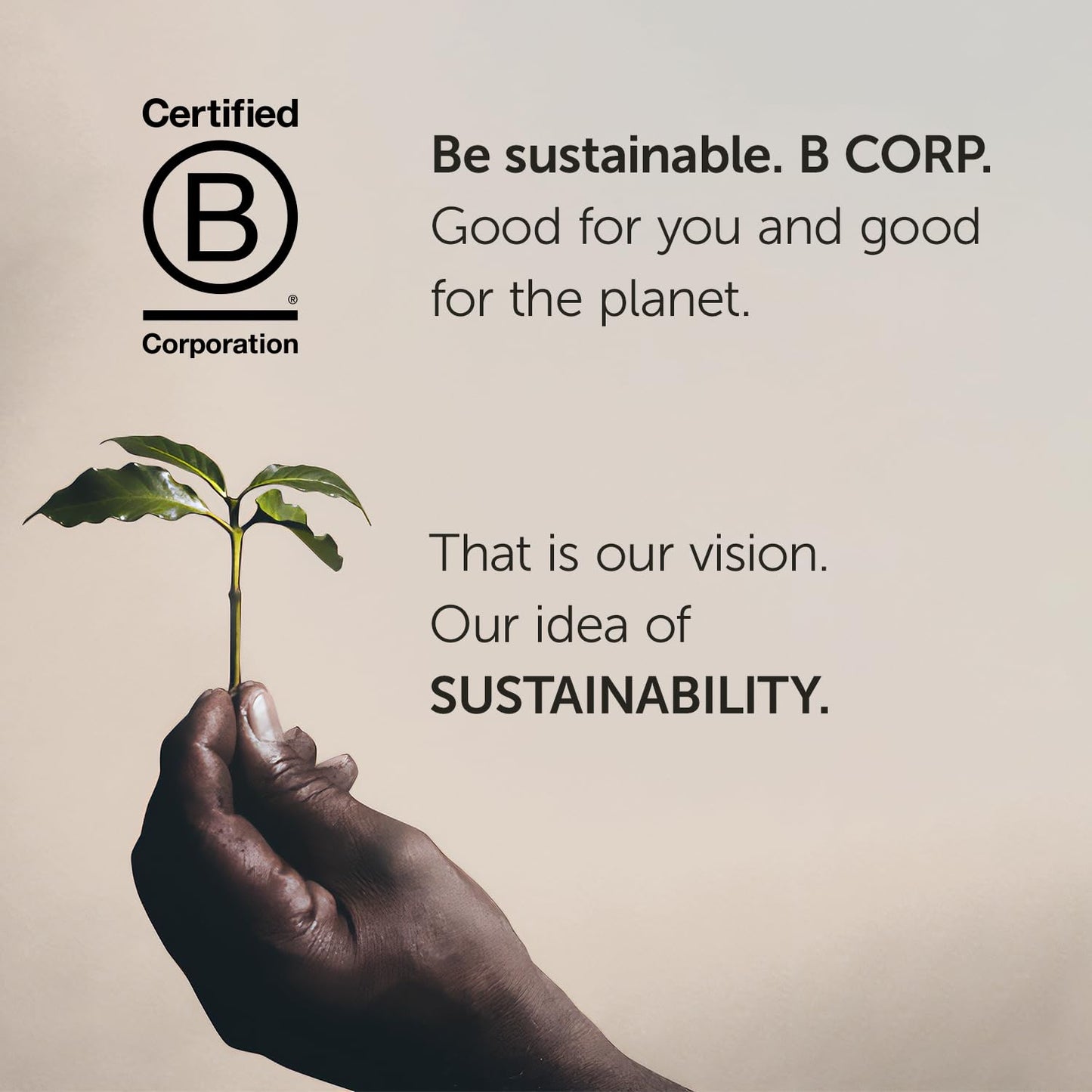 Coffee K Cups - Pods for Keurig Machines – Classico Roast - Caramel, Orange Blossom & Jasmine - Mild, Flavorful & Balanced Flavor - No Preservatives – 20 Count